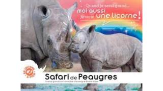 "La Voûte de Pierre" Gîte indépendant - 5