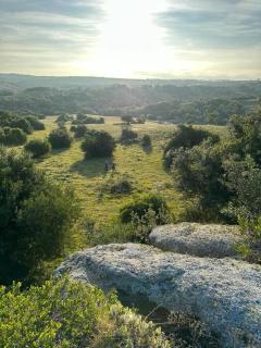 Huset Garzon - Unique House Altos de Jose Ignacio-Garzón Area - 6