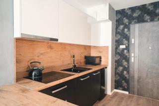Apartament16 Źródlana MountainAparts - Świeradów-Zdrój - 6
