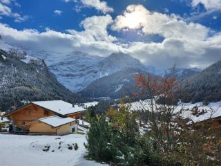Delightful one bedroom apartment in Les Diablerets - Les Diablerets - 8
