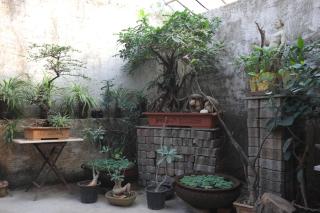 Ranger - Bandra West - Mumbai - 5