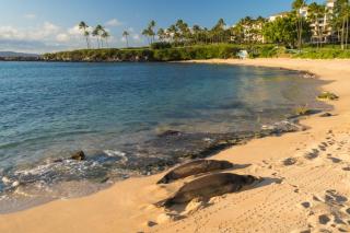 2511 Ridge - Kahana - 8