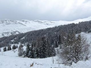 Appartement cosy dans chalet vue Montagne - 3