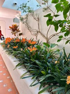 On the heart of Benalmadena few minutes from the beach - Benalmádena - 8