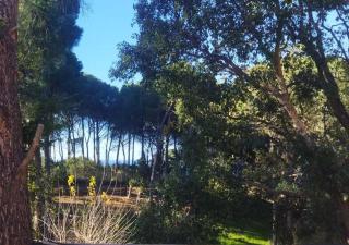 Seawoods - Nature Experience - 8