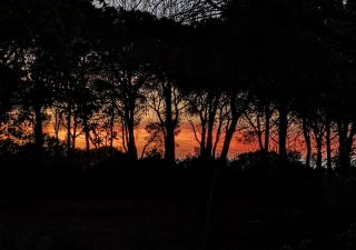 Seawoods - Nature Experience - Cefalù - 5