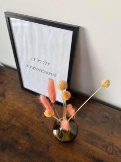 Le petit Tournebride - 6