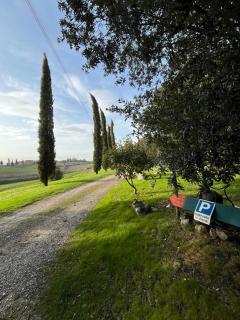 Agriturismo La Torre Di Monsindoli - Sienne - 2
