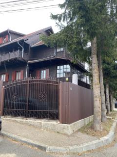 Guest House Urlătoarei - Bușteni - Buşteni - 1