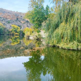 Molino Grande del Duratón - 7