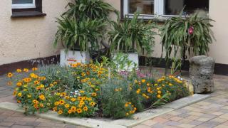Pension K61 Sylke und Michael Paffrath - Gebesee - 9