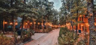 STANET Forest Houses - 9