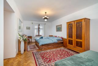 Central apartment - Olomouc - 9