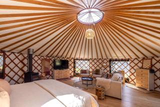 Canopy Retreat, Onetangi - 5