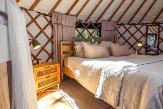 Canopy Retreat, Onetangi - Putiki - 3