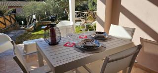 Chia Sweet Home - Chia - 2