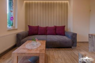 Auszeit-im-Harz Haus 2 Wohnung 1 - 8