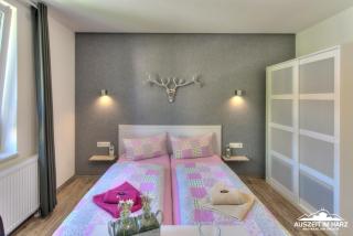 Auszeit-im-Harz Haus 2 Wohnung 4 - Schierke - 7