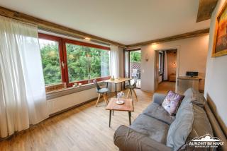 Auszeit-im-Harz Haus 3 Wohnung 2 - Braunlage - 5
