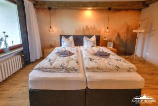 Auszeit-im-Harz Haus 3 Wohnung 2 - Braunlage - 1