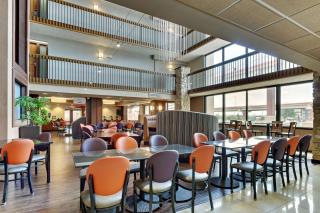 Drury Plaza Hotel San Antonio Airport - San Antonio - 3