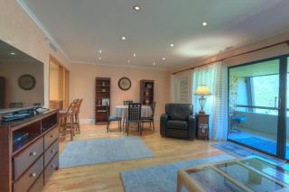 Perfect Condo Sleeps 8 Guests Florida - Palm Harbor - 0
