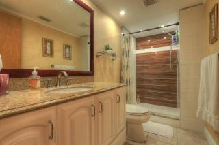 Perfect Condo Sleeps 8 Guests Florida - Palm Harbor - 3