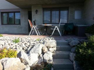 Elfe-Apartments Two-room Apartment with Garden, 2-4 guests - Emmetten - 2