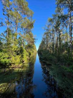 Tranquility Home near Beaches - Palm Coast - 3