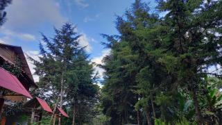 Estancia Chontabamba - Cabañas, Departamento y Habitaciones - Oxapampa - 5