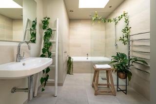 Dunedin Central Luxe Pad - Dunedin - 8