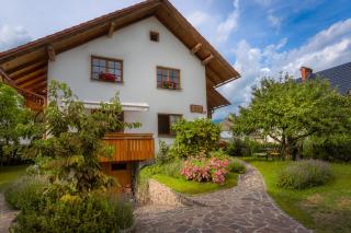 Apartmaji Volf - Zgornje Gorje - 7