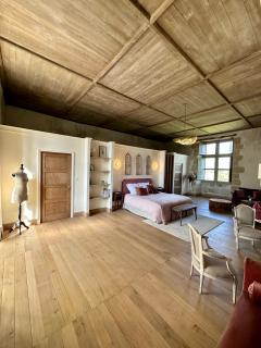 CHATEAU DE LA CITARDIERE - 5