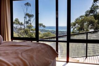 Sunrise Place - Above the Trees - Bicheno - 0