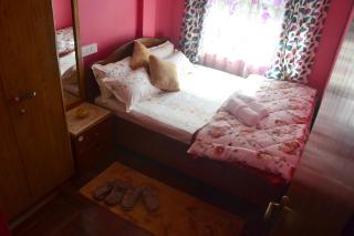 Salakha Homestay - 7