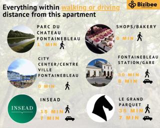 Le jardin des Hautes Presles Le carrousel City - 6