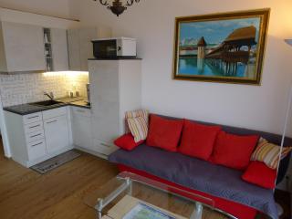 Elfe-Apartments Studio for 2 adults, balcony with lake and mountain view - Emmetten - 8