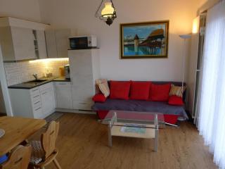 Elfe-Apartments Studio for 2 adults, balcony with lake and mountain view - Emmetten - 3