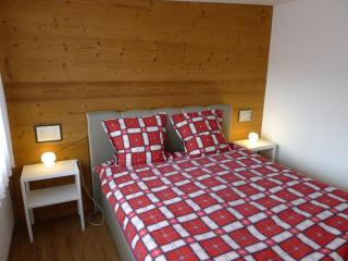 Elfe-Apartments Studio for 2 adults, balcony with lake and mountain view - Emmetten - 2