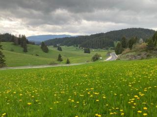 Hotel Coop Rozhen - Pamporovo - 6