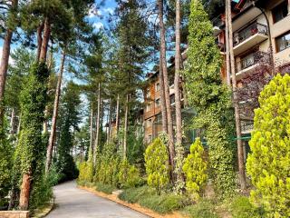 Апартамент Веирас - Velingrad - 7