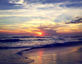 phoenix bed and breakfast 2 - 8