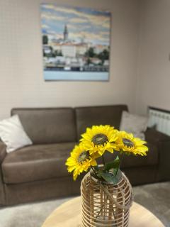 City Code In Joy - Belgrade - 5