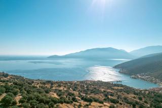 Villa Olive Grove Kefalonia - Ferendináta - 2