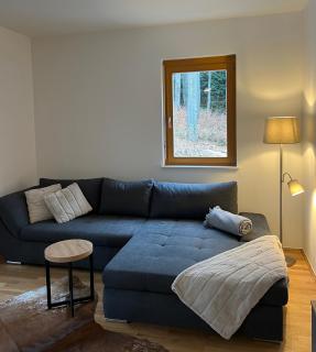Foxi apartment, Pohorje - Hočko Pohorje - 5