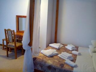 Hotel Vesna - Truskavets - 7