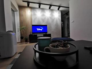Loft przy Wiśniowej - Pszczyna - 6