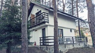Complex Parc Pini Moinesti - Moineşti - 5