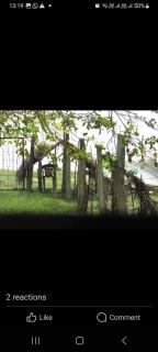 Soul connection. Chapter 2 - 5