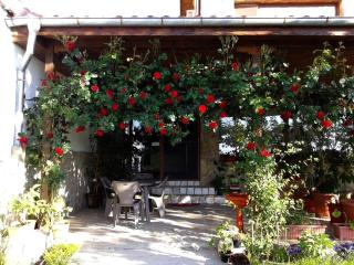 Todorovi Guest House - Stara Zagora - 8